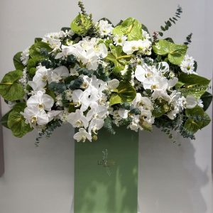 شکوه سپید