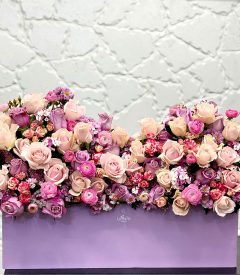 باکس-گل